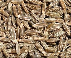 Raw Cumin Seeds