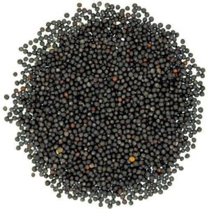 Raw Mustard Seeds