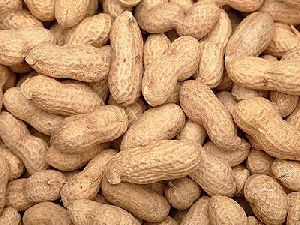 natural groundnuts