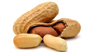 Organic Groundnuts