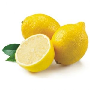 Fresh Seedless Lemon