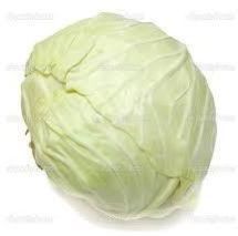 Fresh White Cabbage