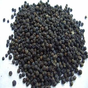 Hybrid Black Pepper