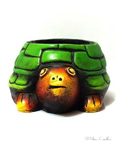 Tortoise Pots