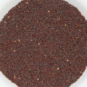 Brown Mustard Seeds