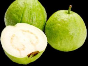 guava fruit