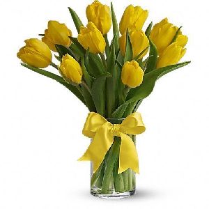 Yellow Tulip Flower