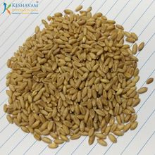 Quality Indian Milling Wheat