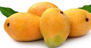 Fresh Mango