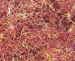 Laucha saffron(Kesar)