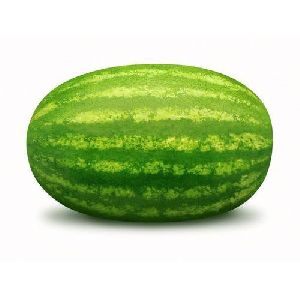 hybrid watermelon