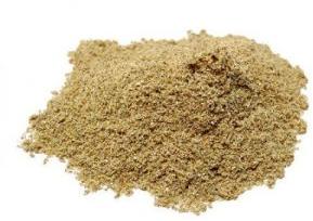 Holarrhena Antidysenterica Extract