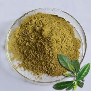 Lagerstroemia Speciosa Extract