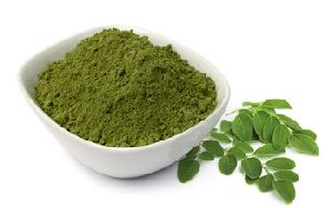 Moringa Oleifera Extract