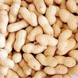 Organic Shelled Peanuts