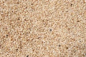 Raw Sesame Seeds