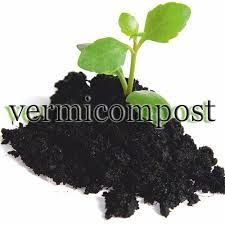 vermicompost