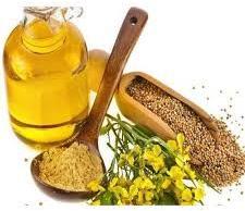 Yellow Mustard Oil