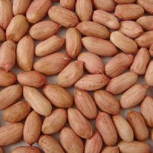 Raw Peanuts Kernels