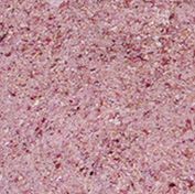 Dehydrated Pink Onion Granules