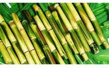 Organic Sugarcane