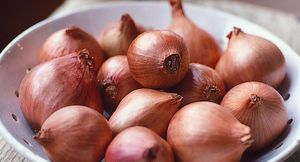 Small Shallot Onion