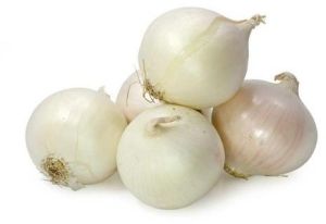 Small White Onion