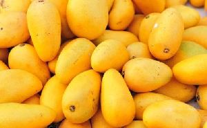 Fresh Yellow Mango