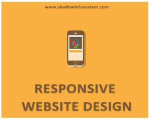 Website Development Services