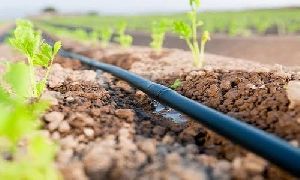 Drip Irrigation System