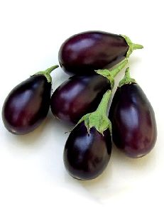 Fresh Brinjal