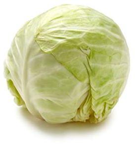 Fresh Cabbage