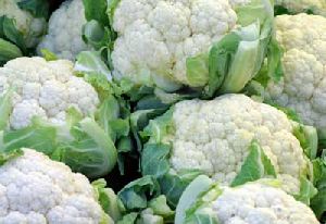 Natural Cauliflower