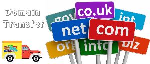 domain transfer services