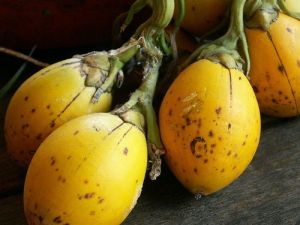 Skinned Betel Nuts