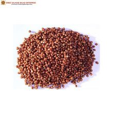 Purity Machine Cleaned Red Sorghum Seeds