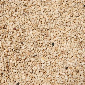 Natural White Sesame Seeds