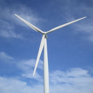 Wind Mill