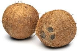 Coconut