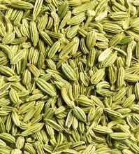 Fennel Seed