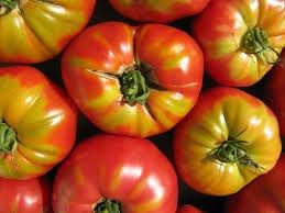 Tomato