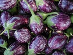 Brinjal