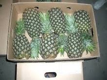 Fresh Pineapple