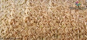 PR11 BROWN RICE