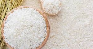 1121 white sella Rice