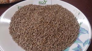 Cumin Seeds