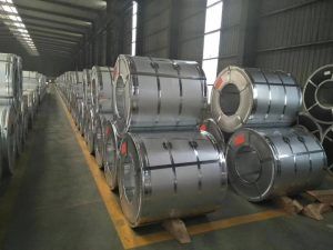 Galvanized Steel / Prepainted Steel / Aluzinc Steel / CR and HR Coils and Sheets