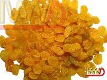 Golden Dried Raisins