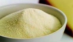 Processed Cheese Powder