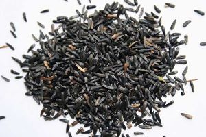 Niger Seeds